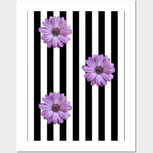 Striped Flowers Posters and Art